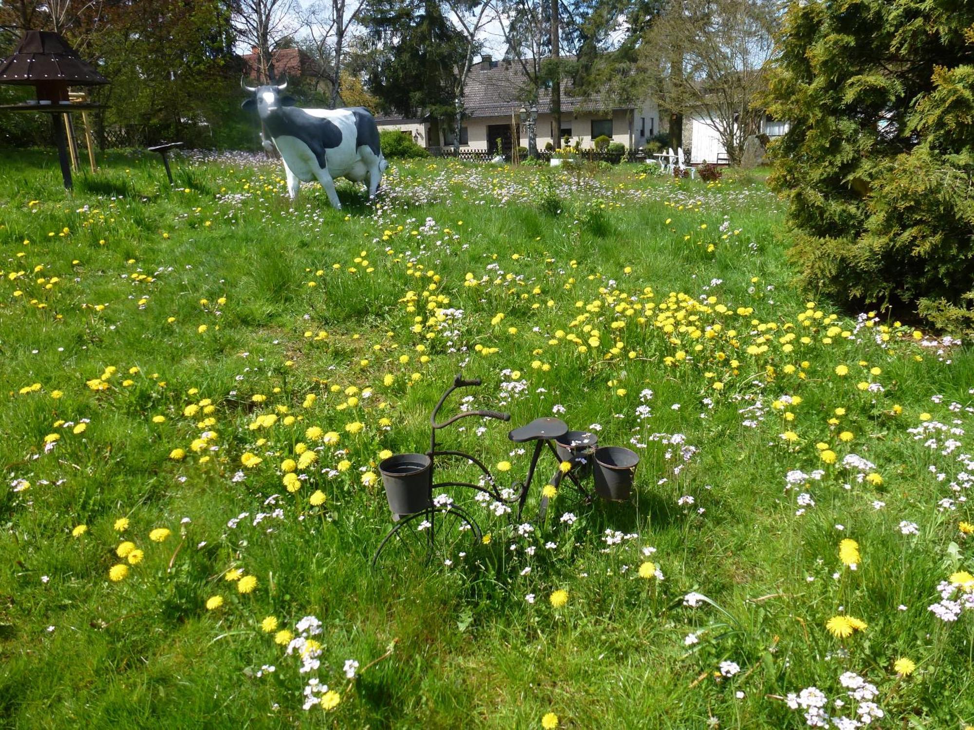 Apartament Land Des Friedens In Nettersheim / Eifel Zewnętrze zdjęcie