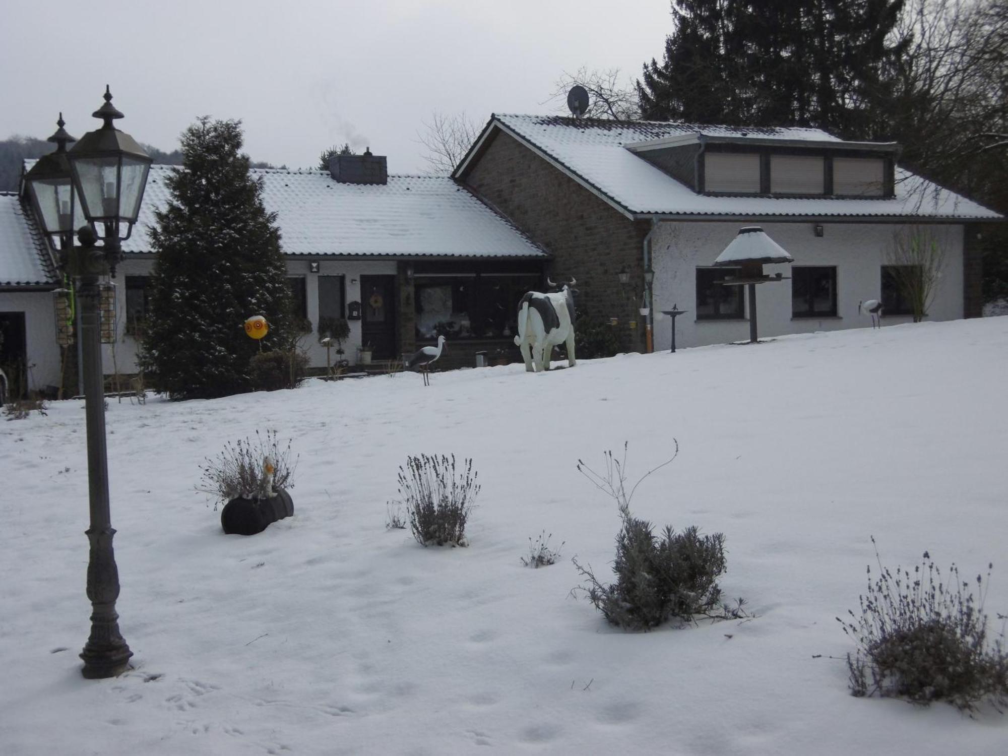 Apartament Land Des Friedens In Nettersheim / Eifel Zewnętrze zdjęcie