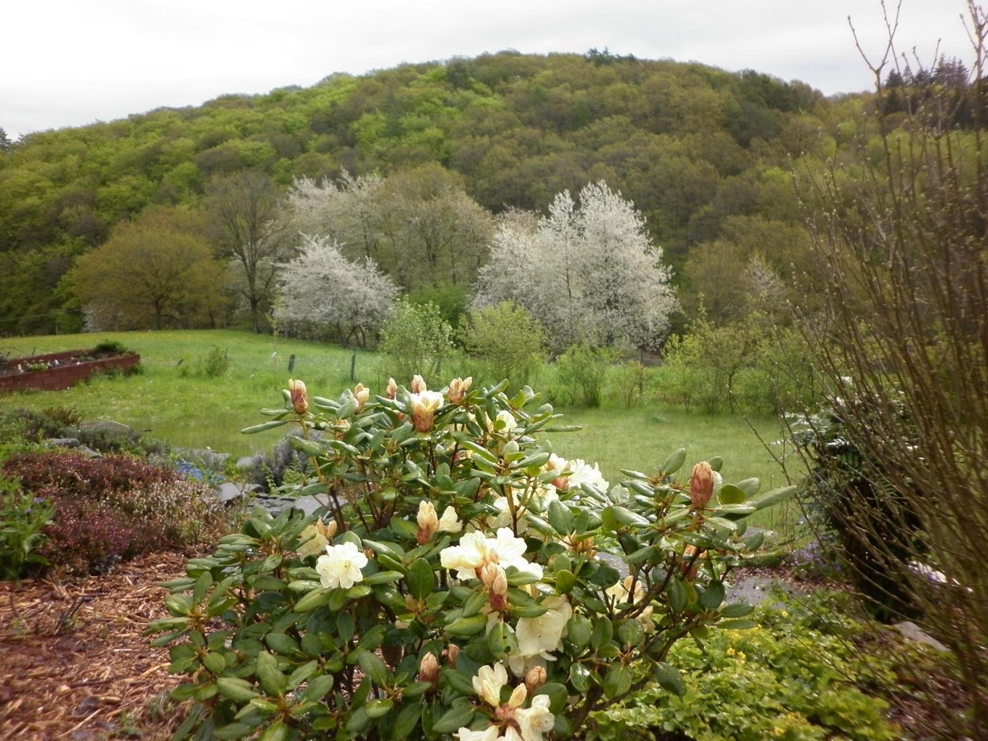 Apartament Land Des Friedens In Nettersheim / Eifel Zewnętrze zdjęcie
