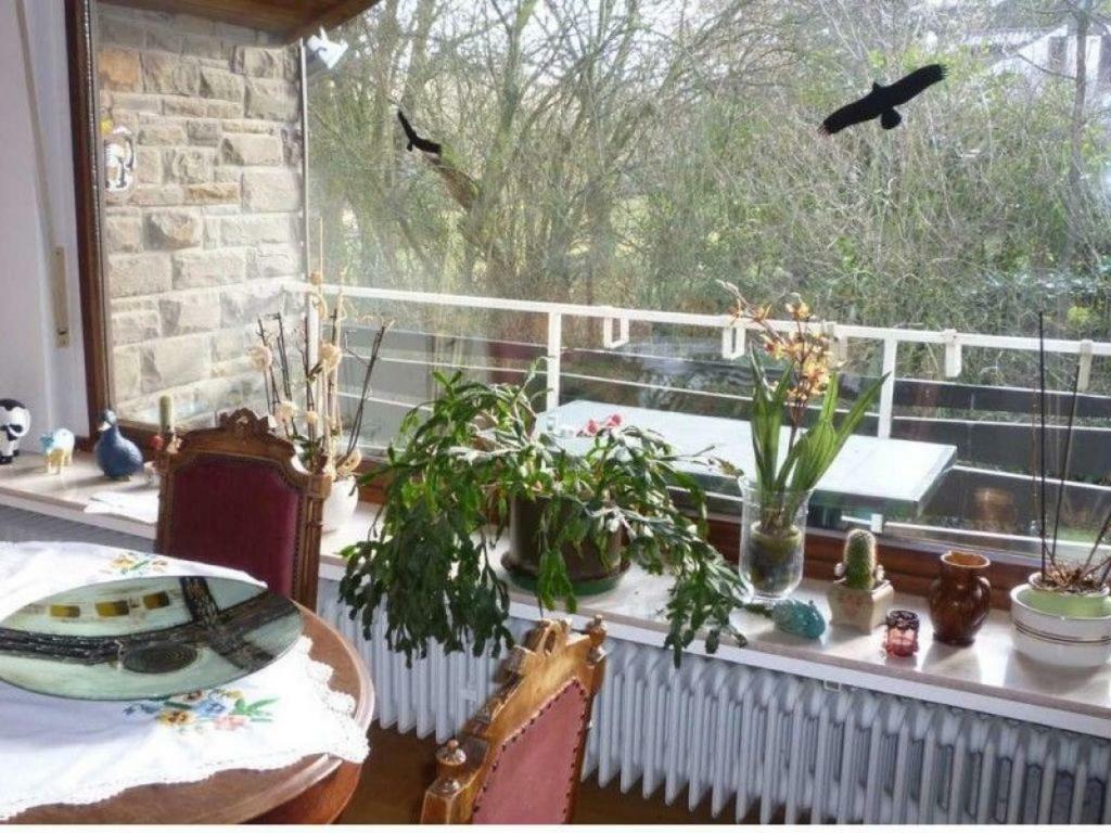 Apartament Land Des Friedens In Nettersheim / Eifel Zewnętrze zdjęcie