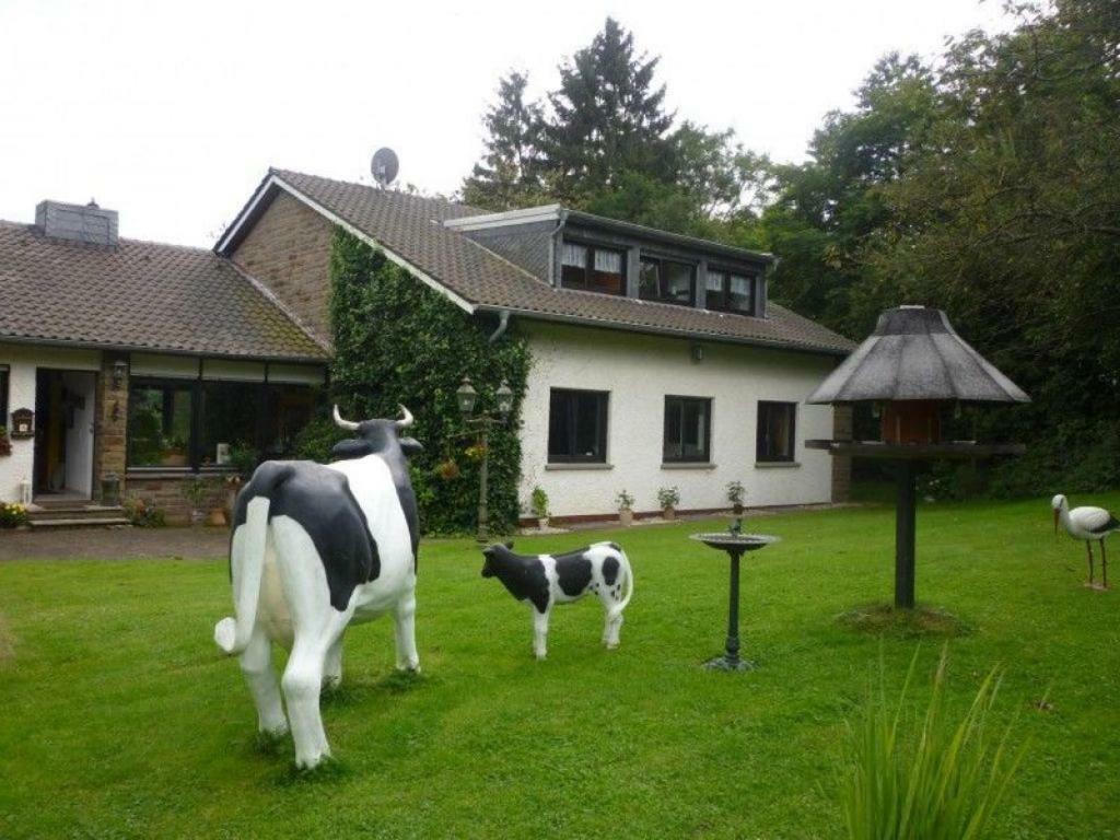 Apartament Land Des Friedens In Nettersheim / Eifel Zewnętrze zdjęcie